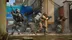 اکانت قانونی Call of Duty: Modern Warfare II-Cross-Gen Bundle برای  PS5 و PS4
